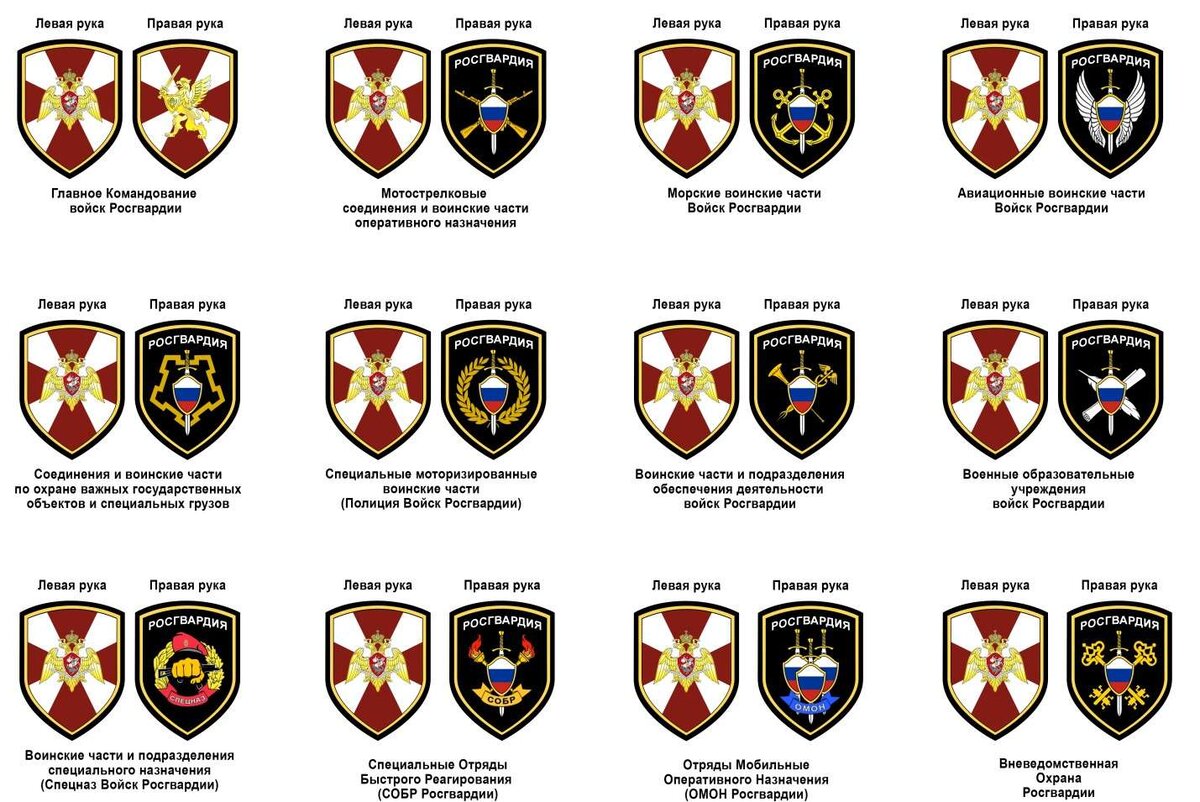 Все сотрудники военных подразделений, в том числе и Росгвардии, должны носить на форме нарукавные знаки различия – шевроны.-2