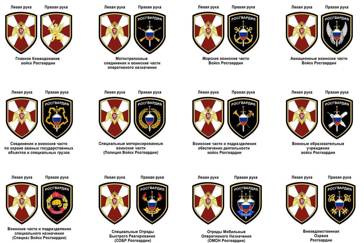 Подразделения росгвардии. ФС ВНГ России Шеврон. Шеврон войска национальной гвардии Российской Федерации. Нашивка войска национальной гвардии Российской Федерации. Шевроны Росгвардии расположение на форме.