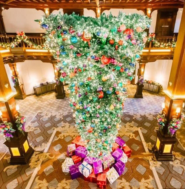 Фото заимствовано из яндекс.картинок