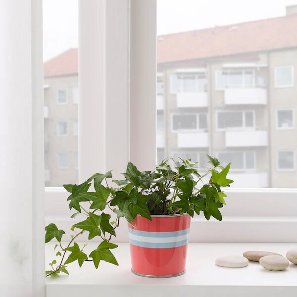 Кэкипломмон,фото с официального сайта Икеа