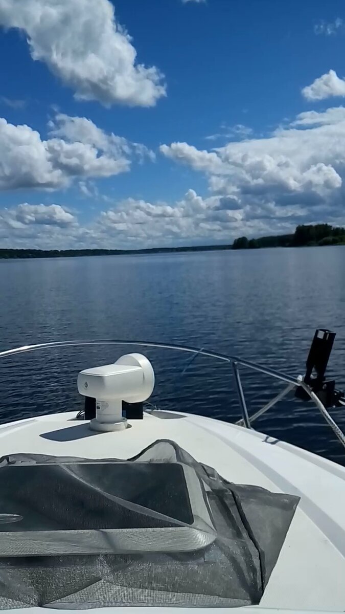 День начинался прекрасно!