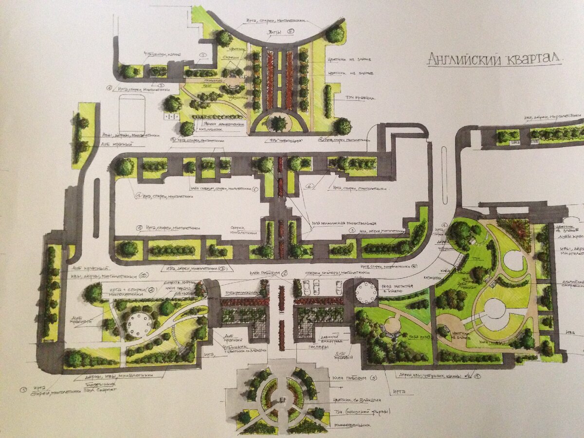 Как мы проектировали озеленение ЖК Английский квартал | Архитектура и  ландшафт | Дзен