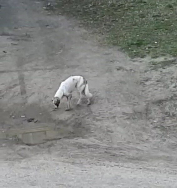 скрин из видео