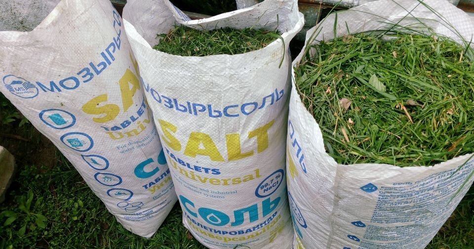 Мешочные грядки. Фото автора