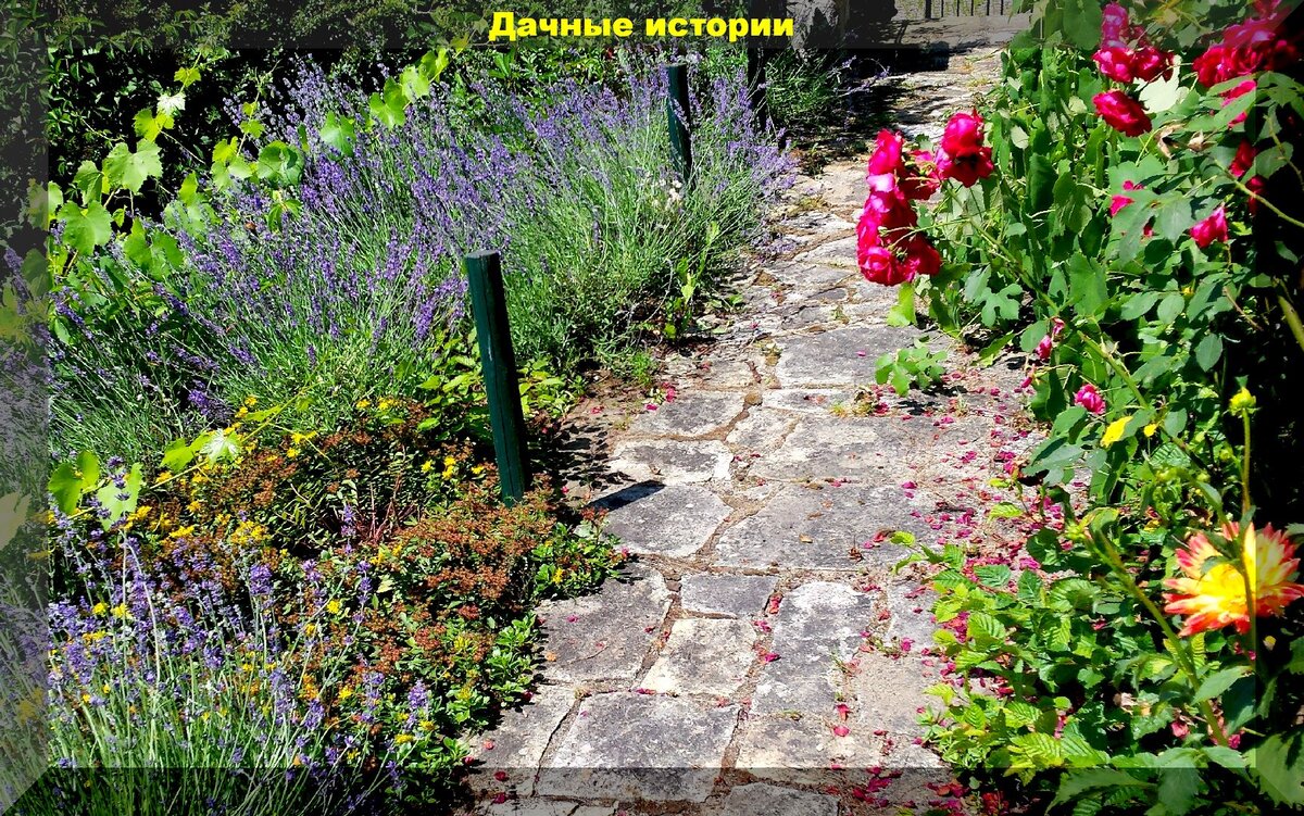 https://vk.com/photo-159774511_457244028
