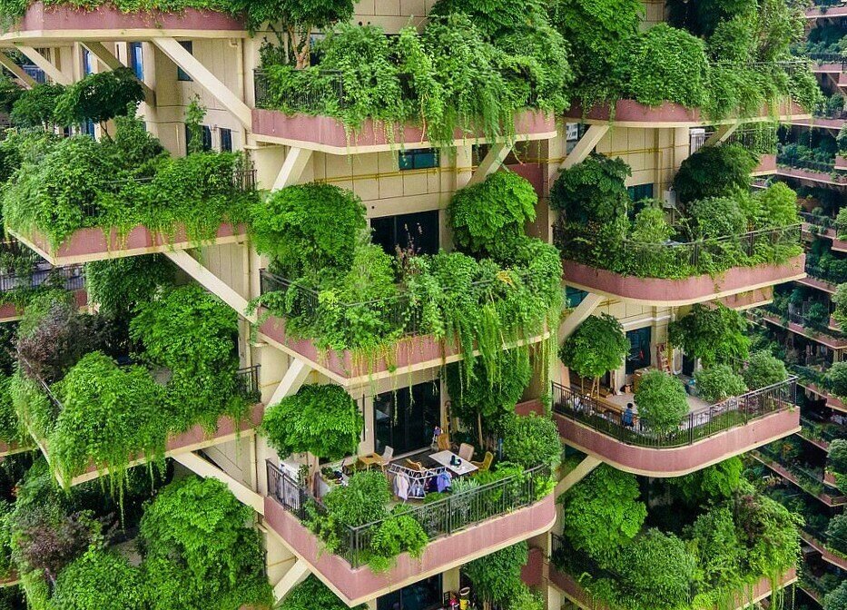 фото с Яндекс картинки