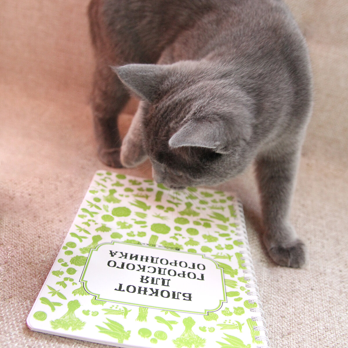 Мой первый философский камень (в Инстаграм представлен еще один)