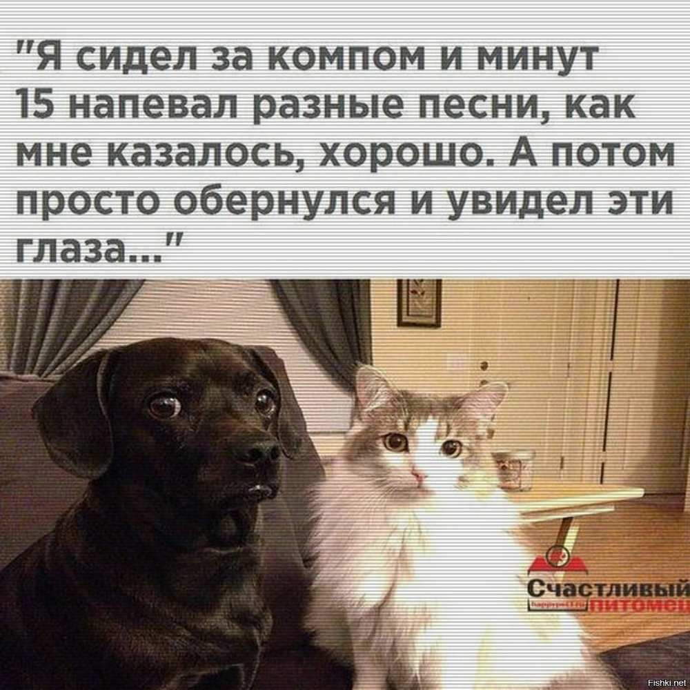 Шутки про животных картинки
