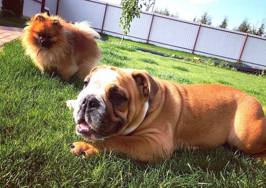 Фото из личного архива 