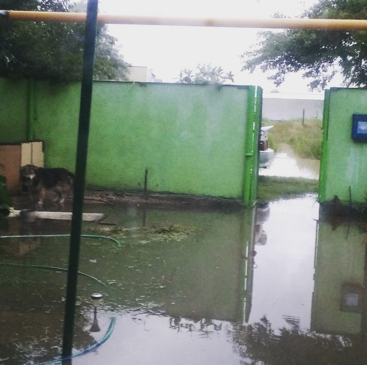 Двор топило постоянно