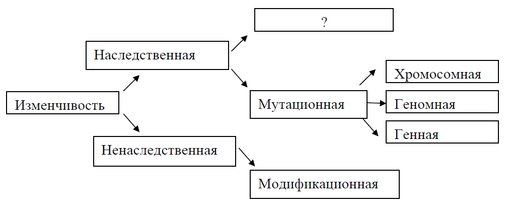 Блок схема изменчивость