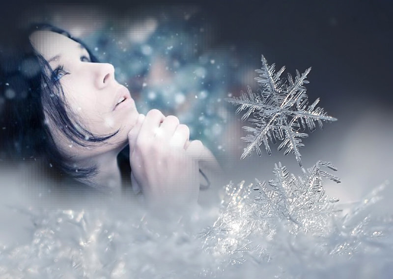 Яндекс. Картинки