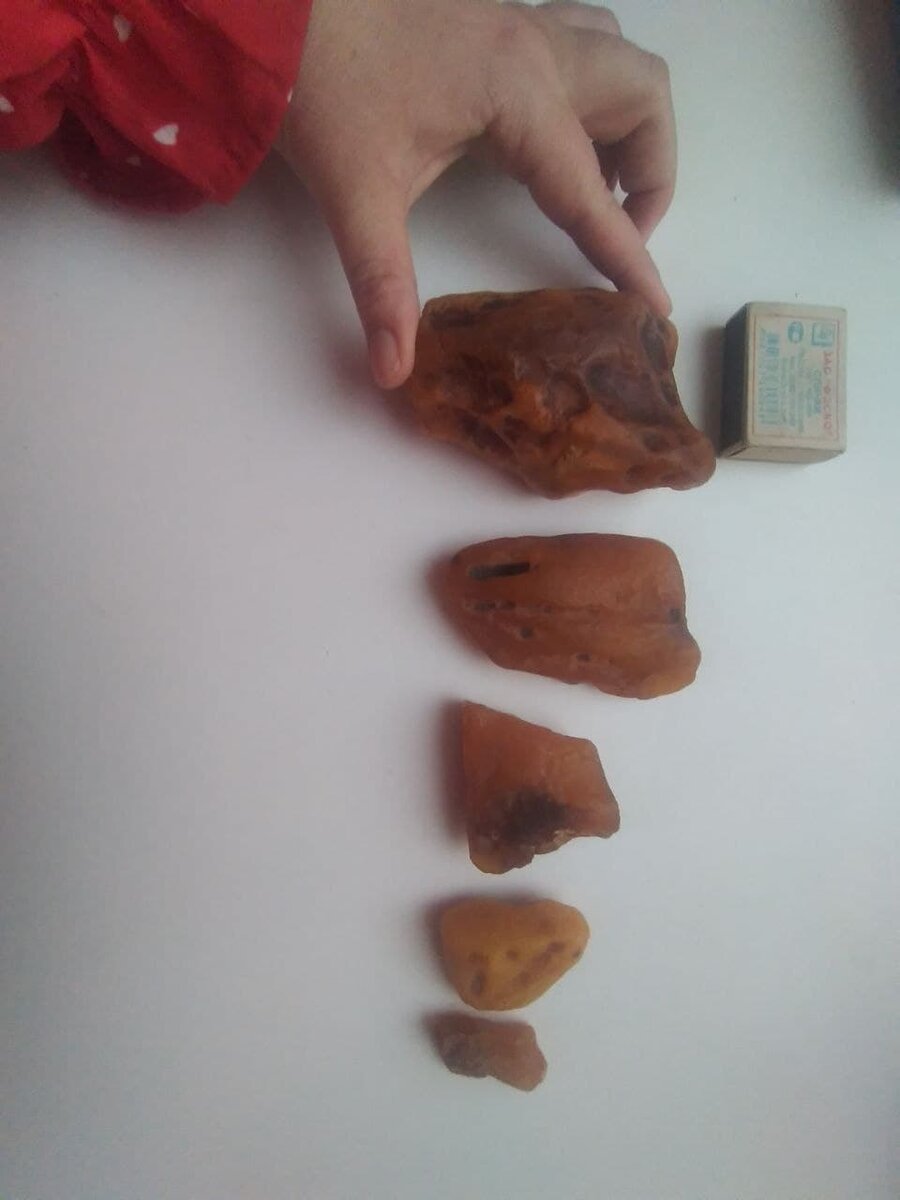 Коллекция находок / фото автора