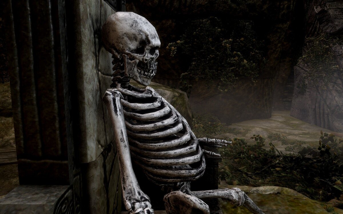 фото из интернета