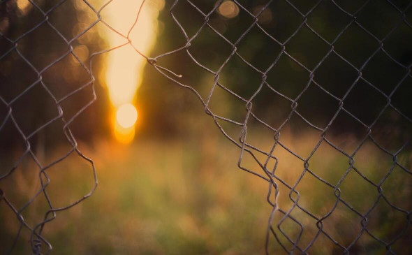 Фото: pixabay.com 