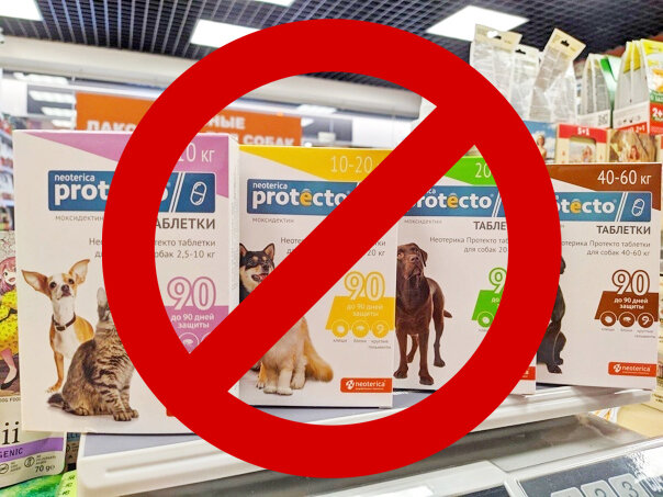 Таблетки Protecto