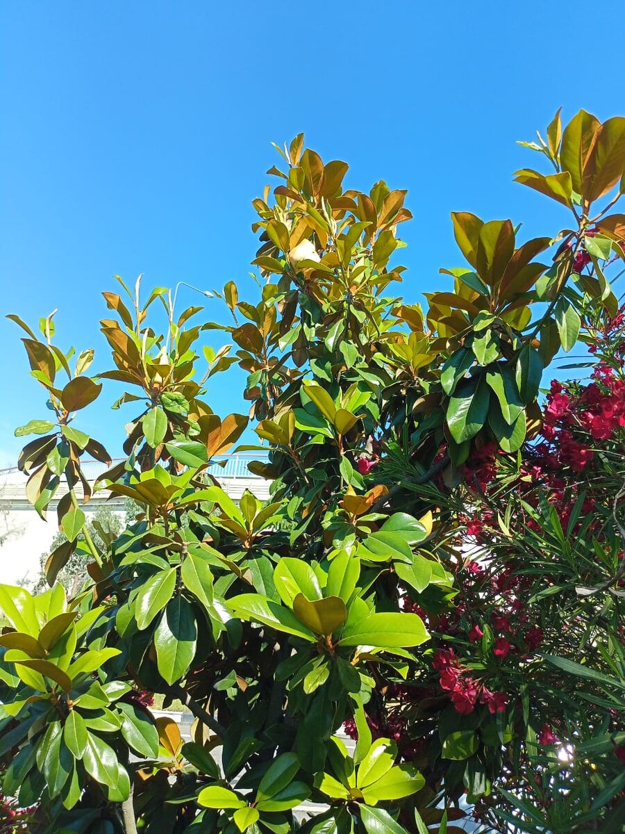 Фото Золотова Наталья