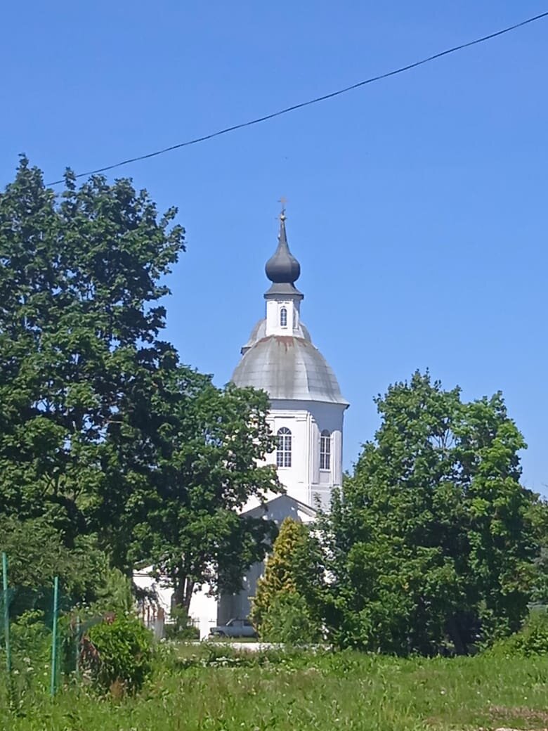 Вид на Борисоглебский храм со стороны усадьбы Белкино. Фото автора.