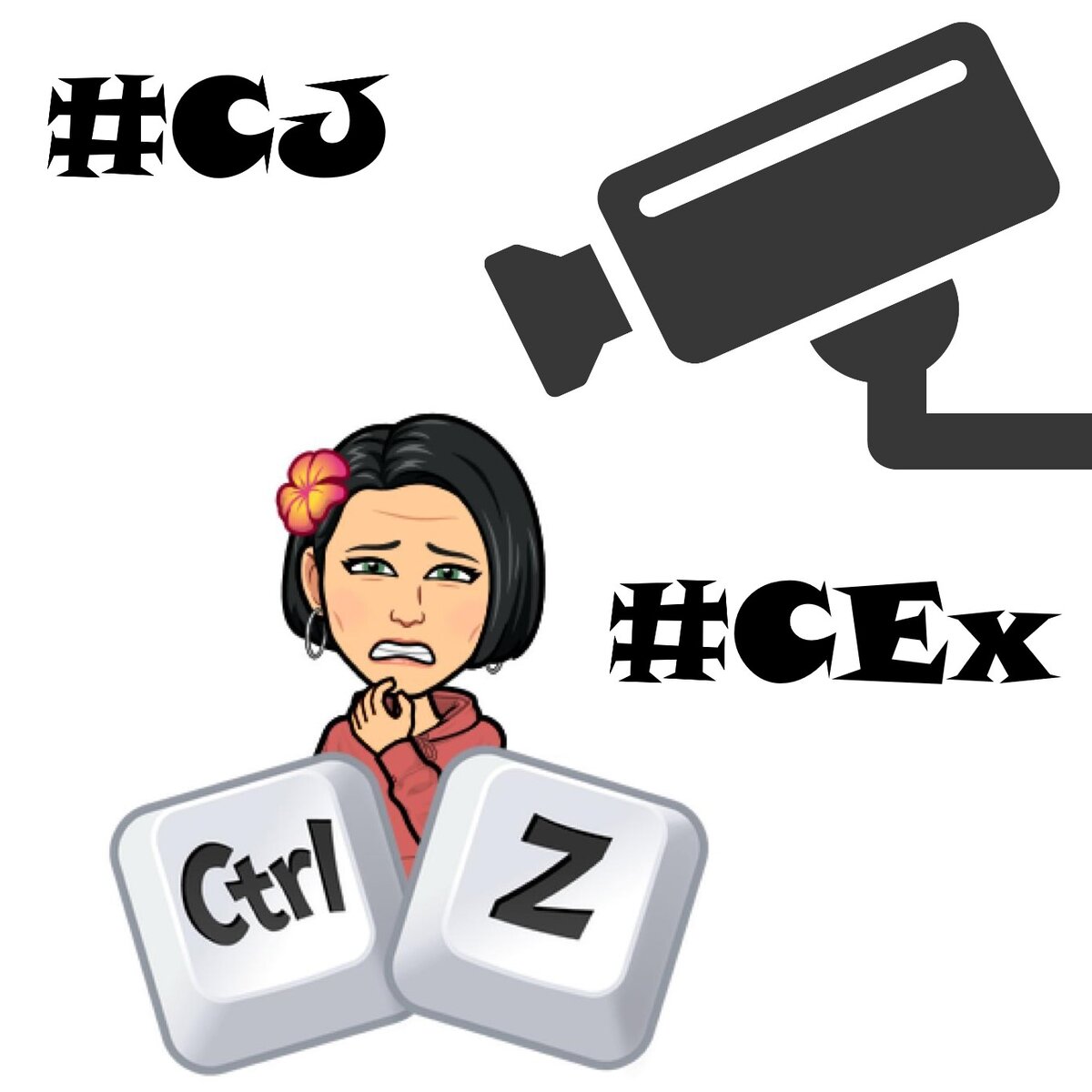 Как девушка себе видеонаблюдение выбирала - 4