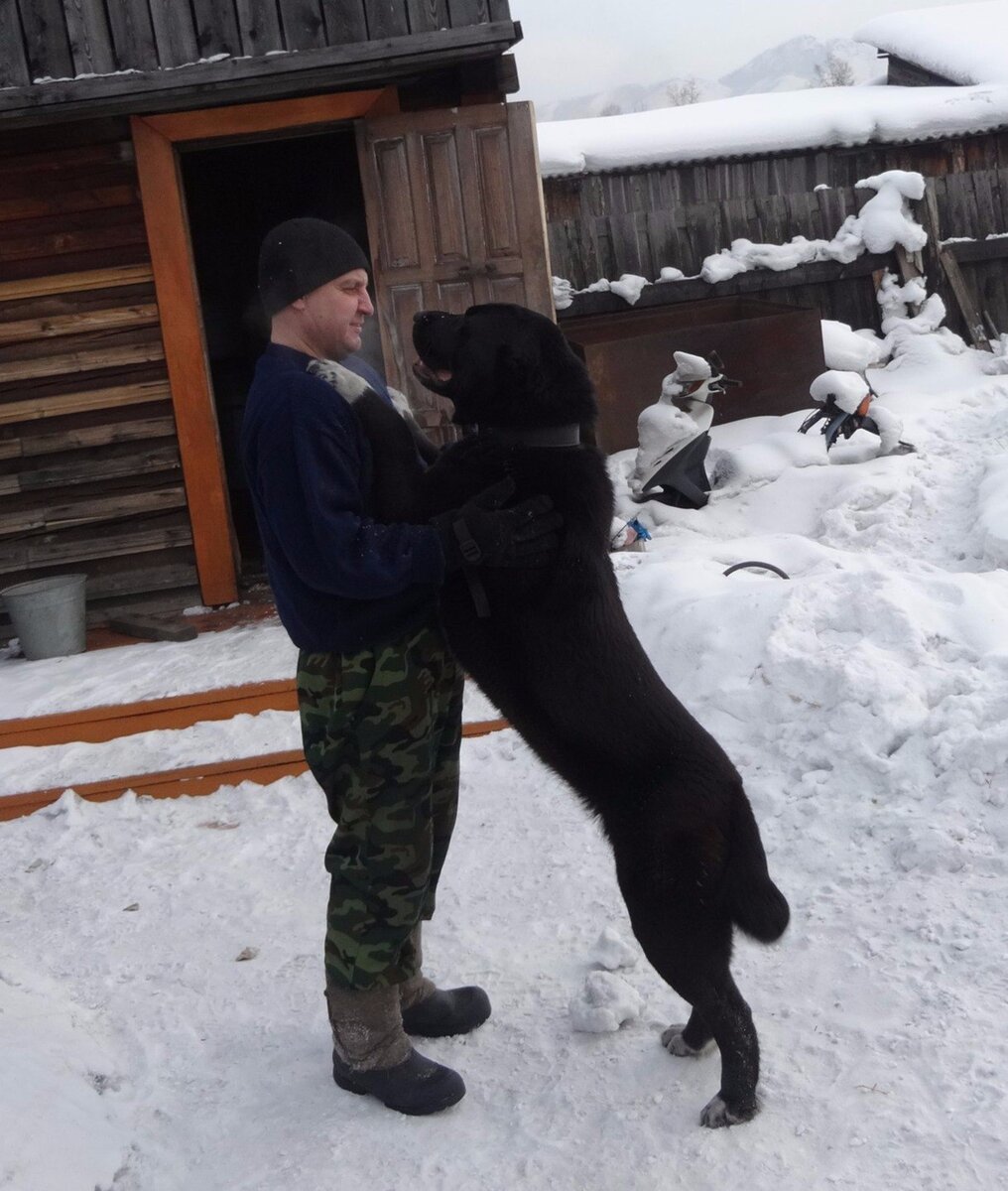 фотографии старые, но актуальные