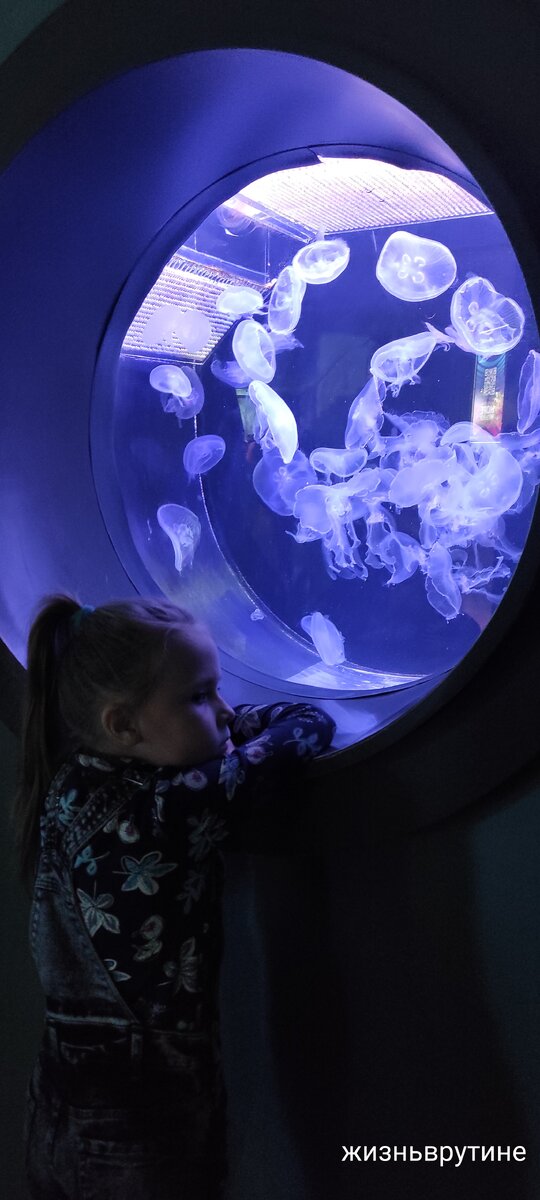 Обитатели подводного царства.