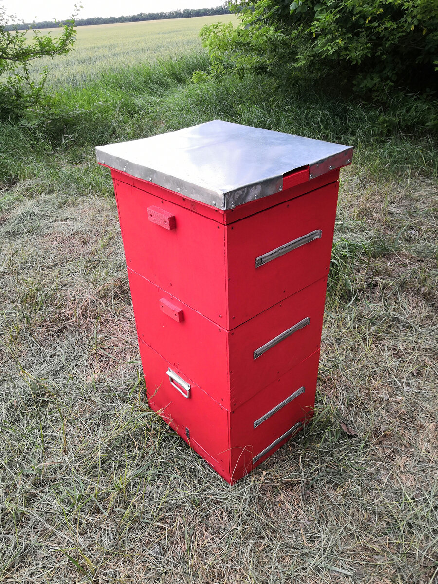 Какой красавец! 