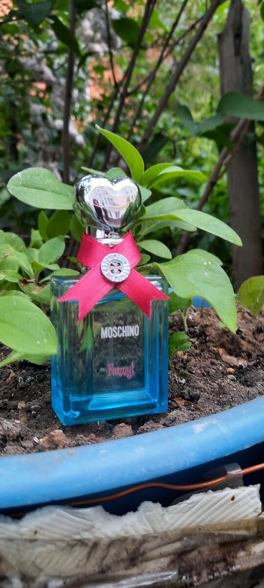        Парфюмерная вода Moschino funny 😆                        