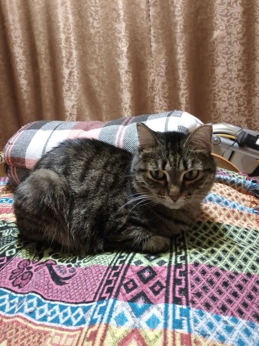 Мася недовольна,что уезжают без нее