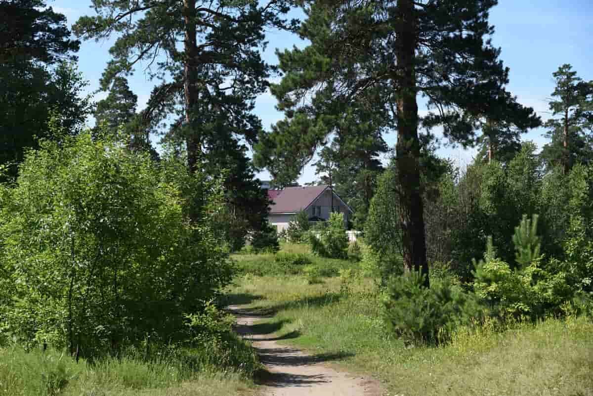 Фото Владимира Бедарева