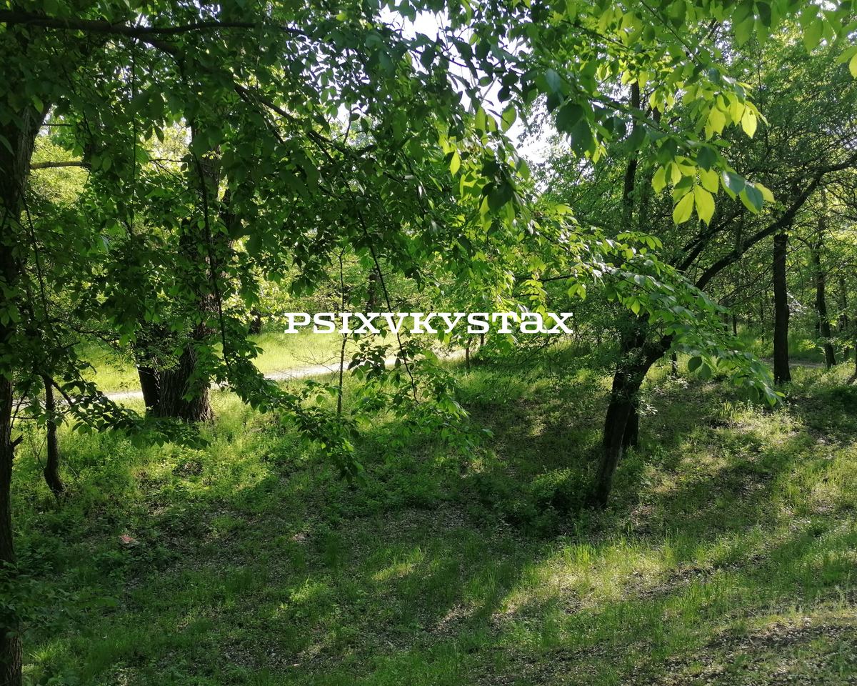 Фото природы из личного архива