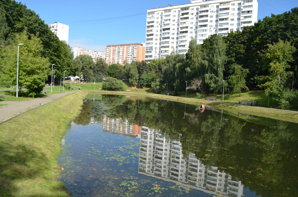 Черноморский бульвар фото. Удальцовские пруды Москва. Парк Удальцовские пруды. Пруд Черноморский бульвар. Парк Черноморский бульвар.