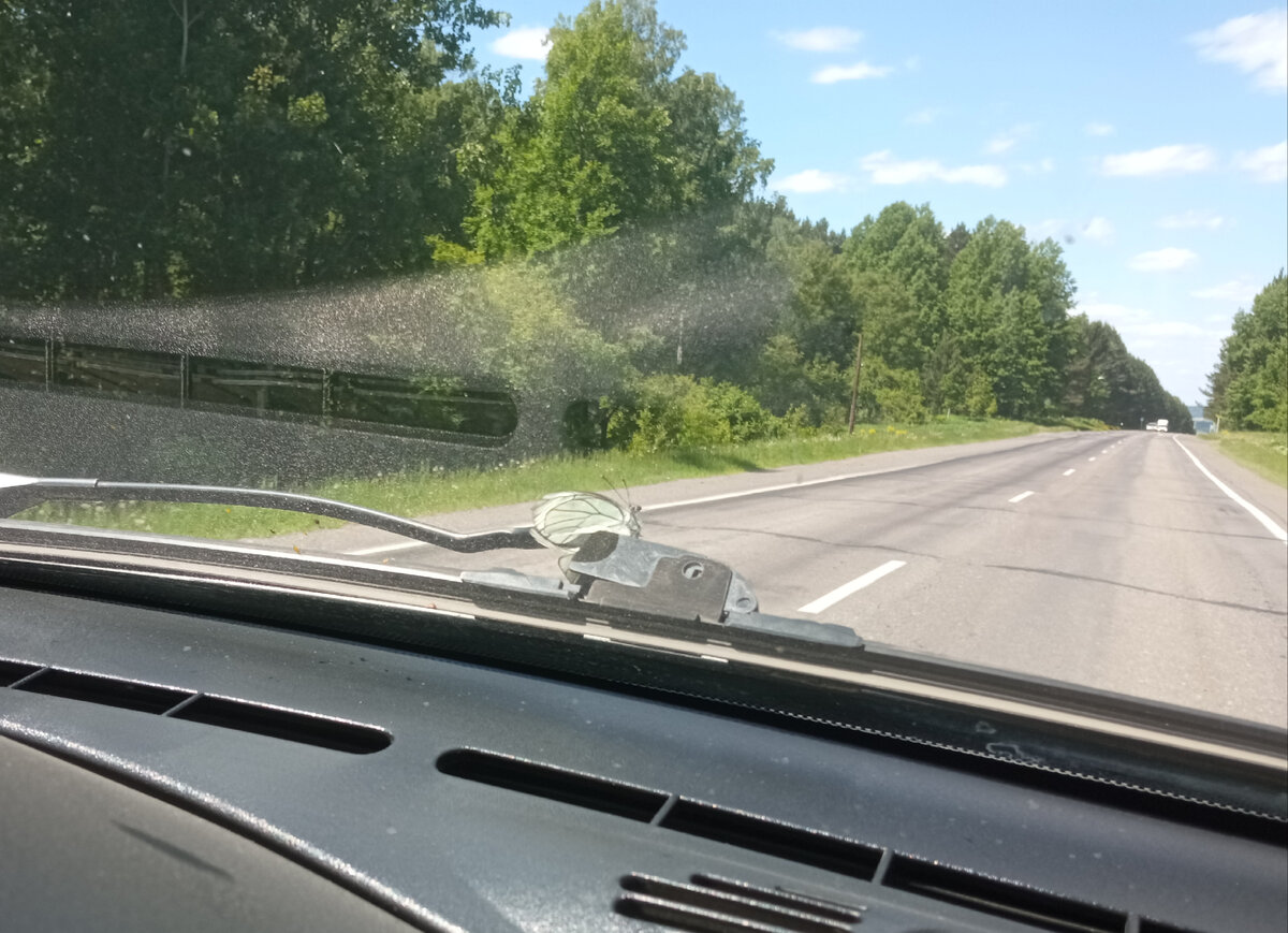 Бабочка в дворнике