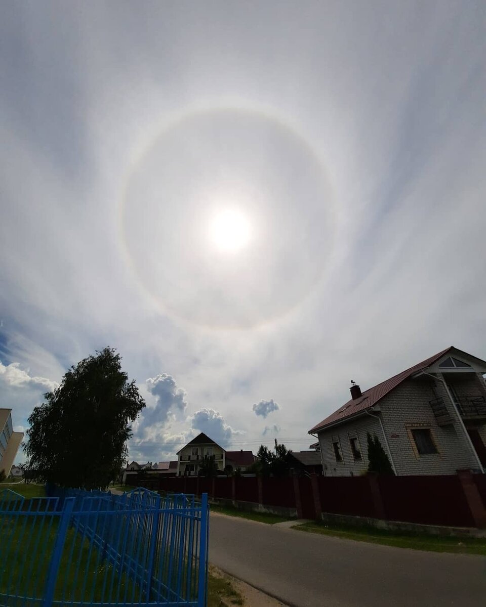 Роль самки и самца