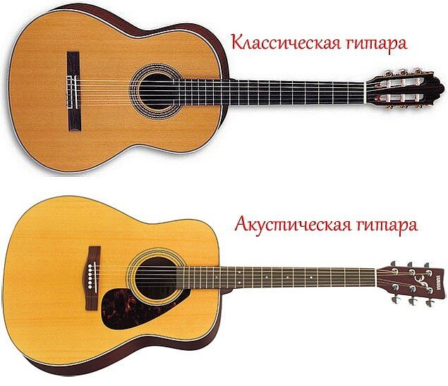 Сравнение акустической и классической гитары | Strunki.ru | Дзен