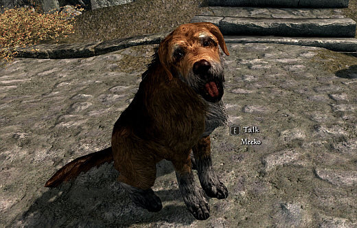 can you adopt dogs in skyrim