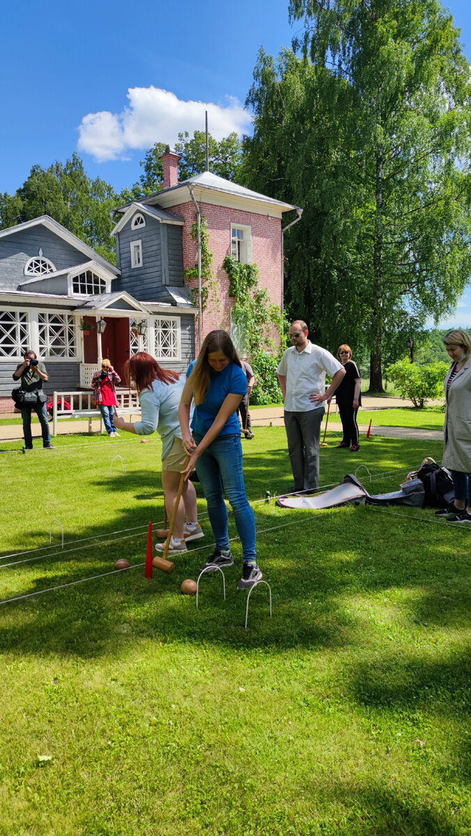 Игра в крокет 