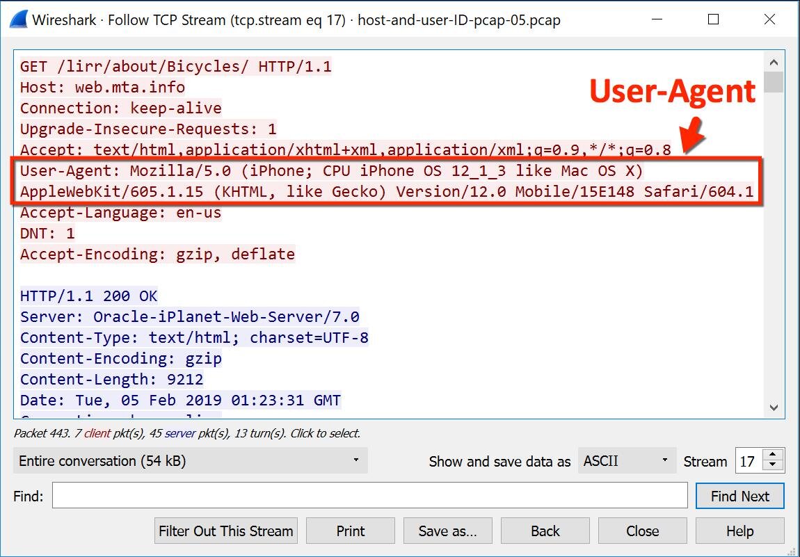 Server user agent. Фильтры Wireshark. Юзер агент это. User agent это что такое как выглядит. Wireshark c-String.