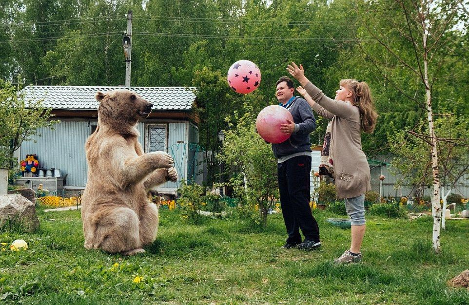 Russian Couple Adopted An Orphaned Bear 23 Years Ago, And They Still Live Togeth