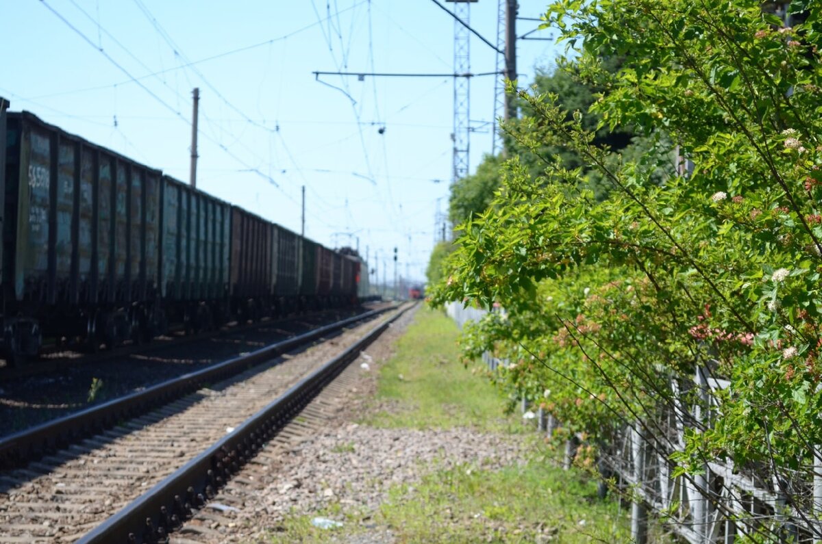 30 градусов в отсутствующей по ст. Черусти тени, 19.06.2021 |  Железнодорожье и его окрестности | Дзен