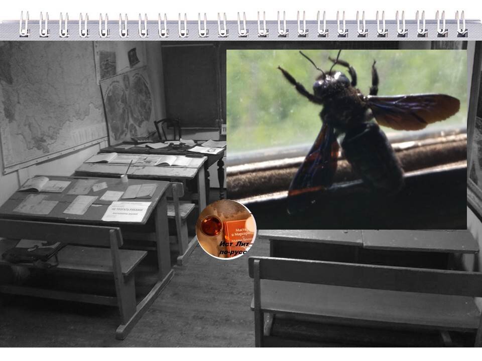 фото  и коллаж  авторский                   Подписывайтесь на канал!