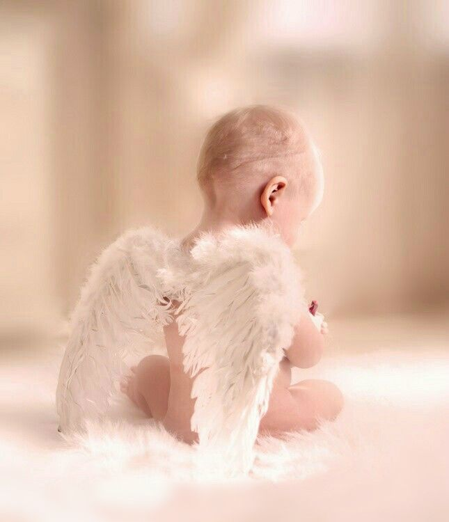 яндекс картинки