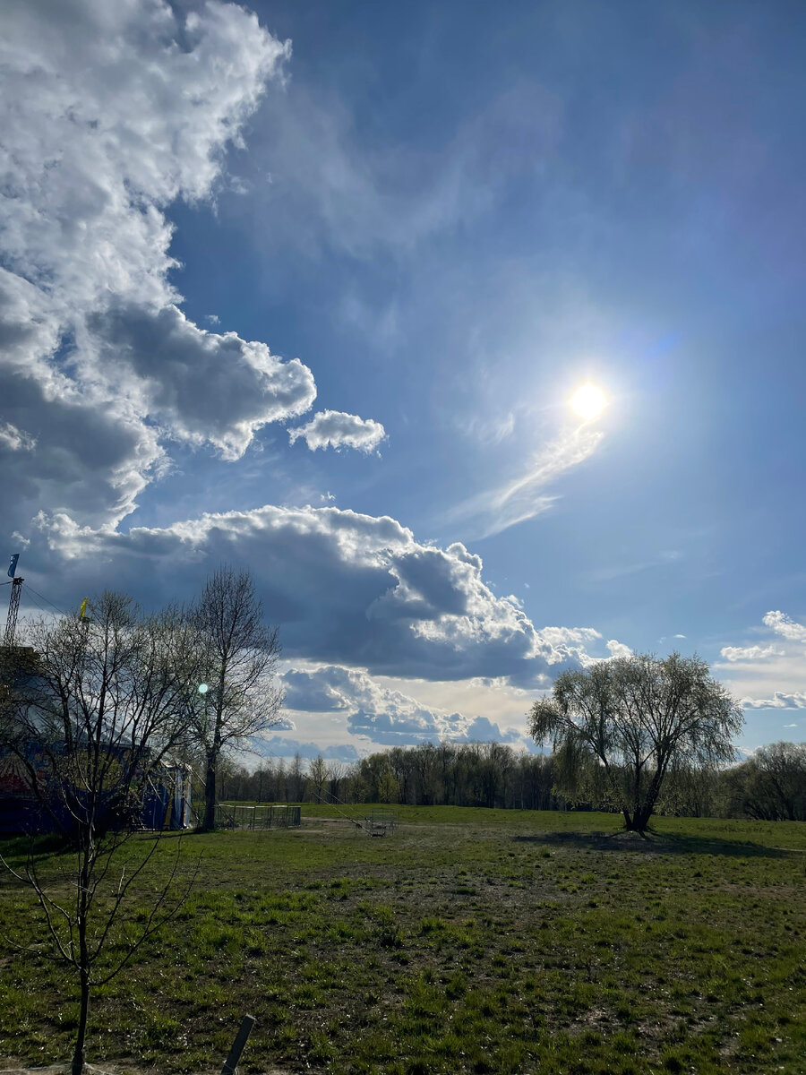Красота природы бесценна 