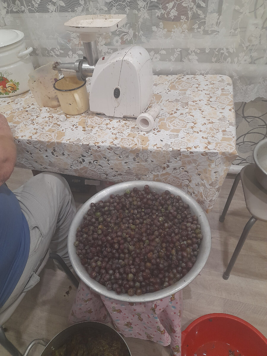 Виноград на сок!