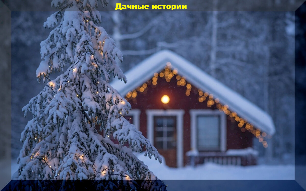 "За спрос не бьют в нос": ответы на новые вопросы начинающих дачников ...