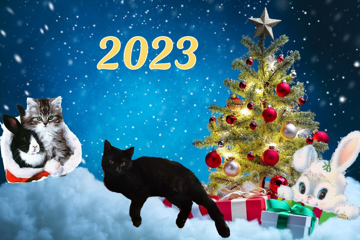 Год Черного Водяного Кролика (Кота, Зайца)