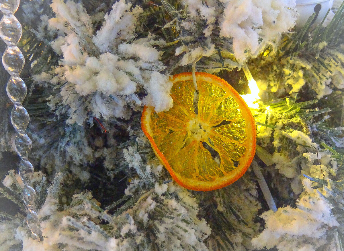 Фото из личного архива