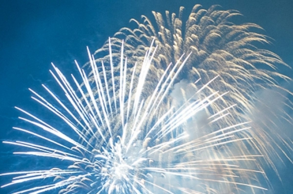    В ЦУРе дали советы жителям Заполярья, как гулять с собакой под салютами