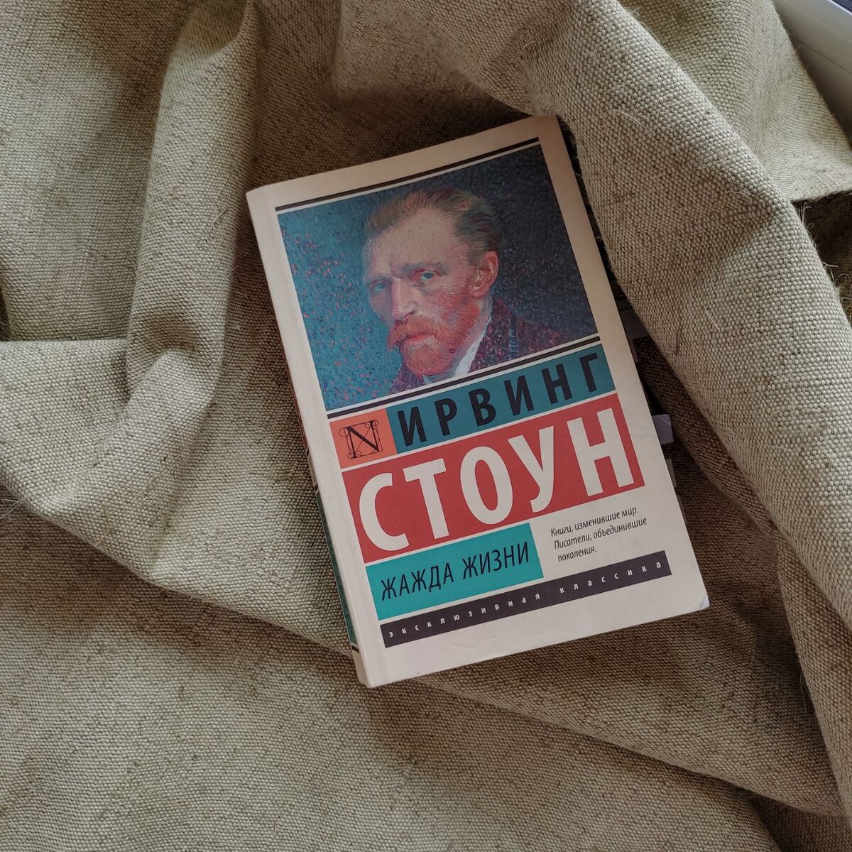 Ирвинг Стоун "Жажда жизни"