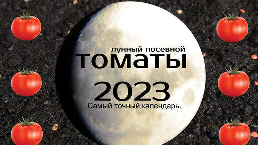 Когда сеять помидоры на рассаду в 2023 году по лунному календарю?