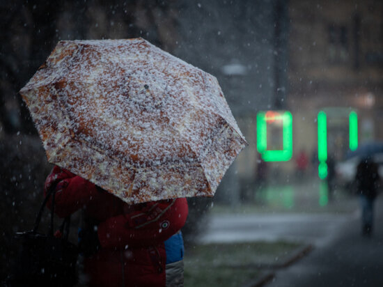     Облачная погода с осадками придет в Псковскую область 17 января / Александр Елисеев